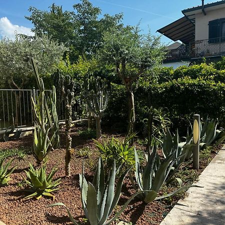 Casa Vacanze "Il Porticciolo" Manerba del Garda Dış mekan fotoğraf